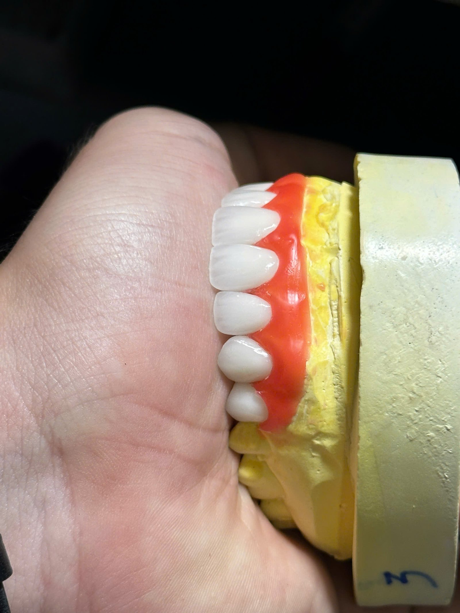 Hình ảnh sản phẩm Pro Dental Lab